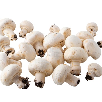 Шампиньоны свежие 500 г - купить в Чечекле